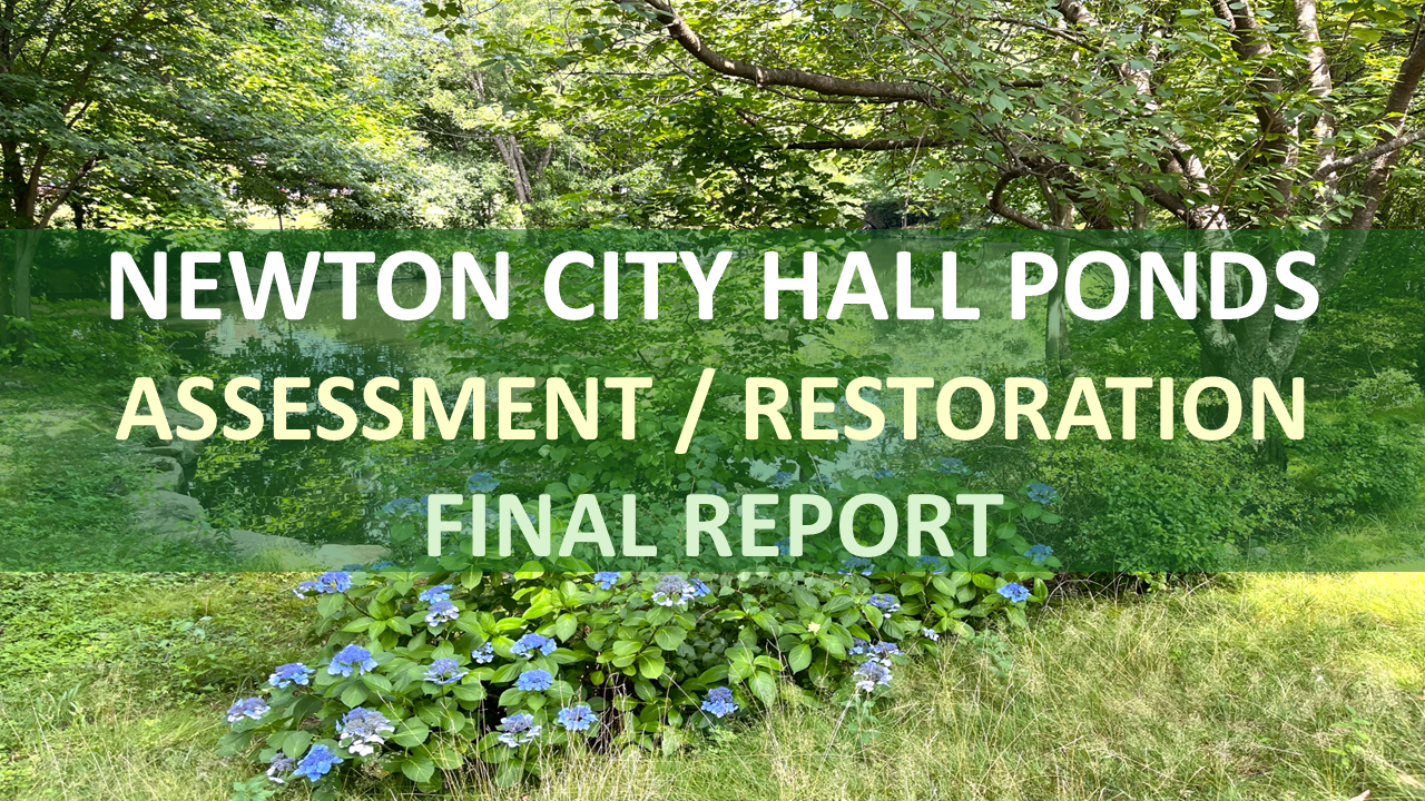 Final Report - City Hall (Draft).png
