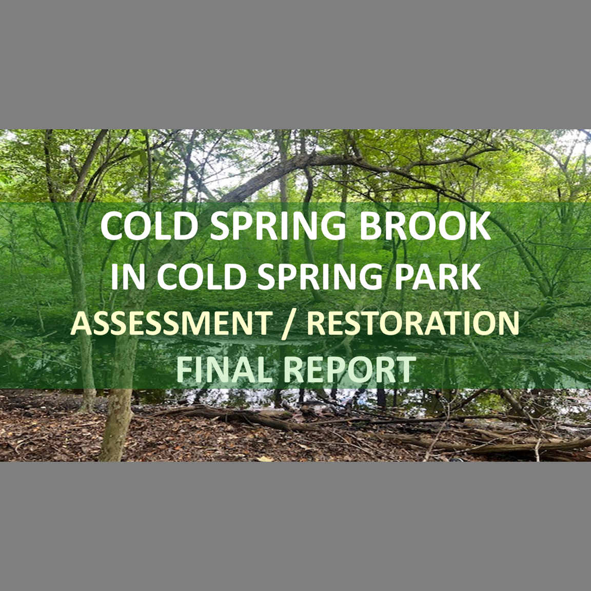 Holistic Stream Assessment/Restoration: Cold Spring Brook/Cold Spring Park - Newton, Massachusetts (Final Report)