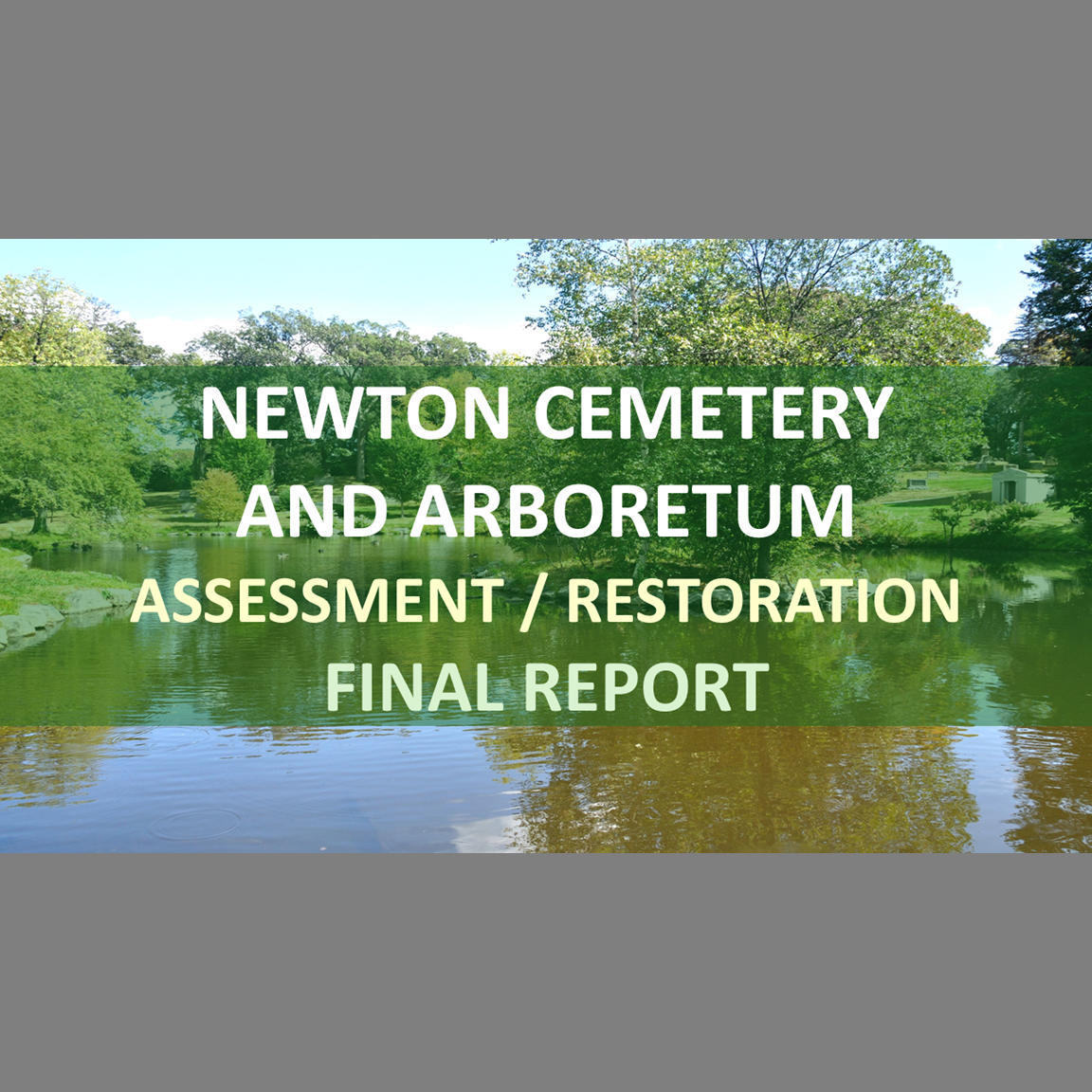 Holistic Stream Assessment/Restoration: Cold Spring Brook/Newton Cemetery and Arboretum - Newton, Massachusetts (Final Report)