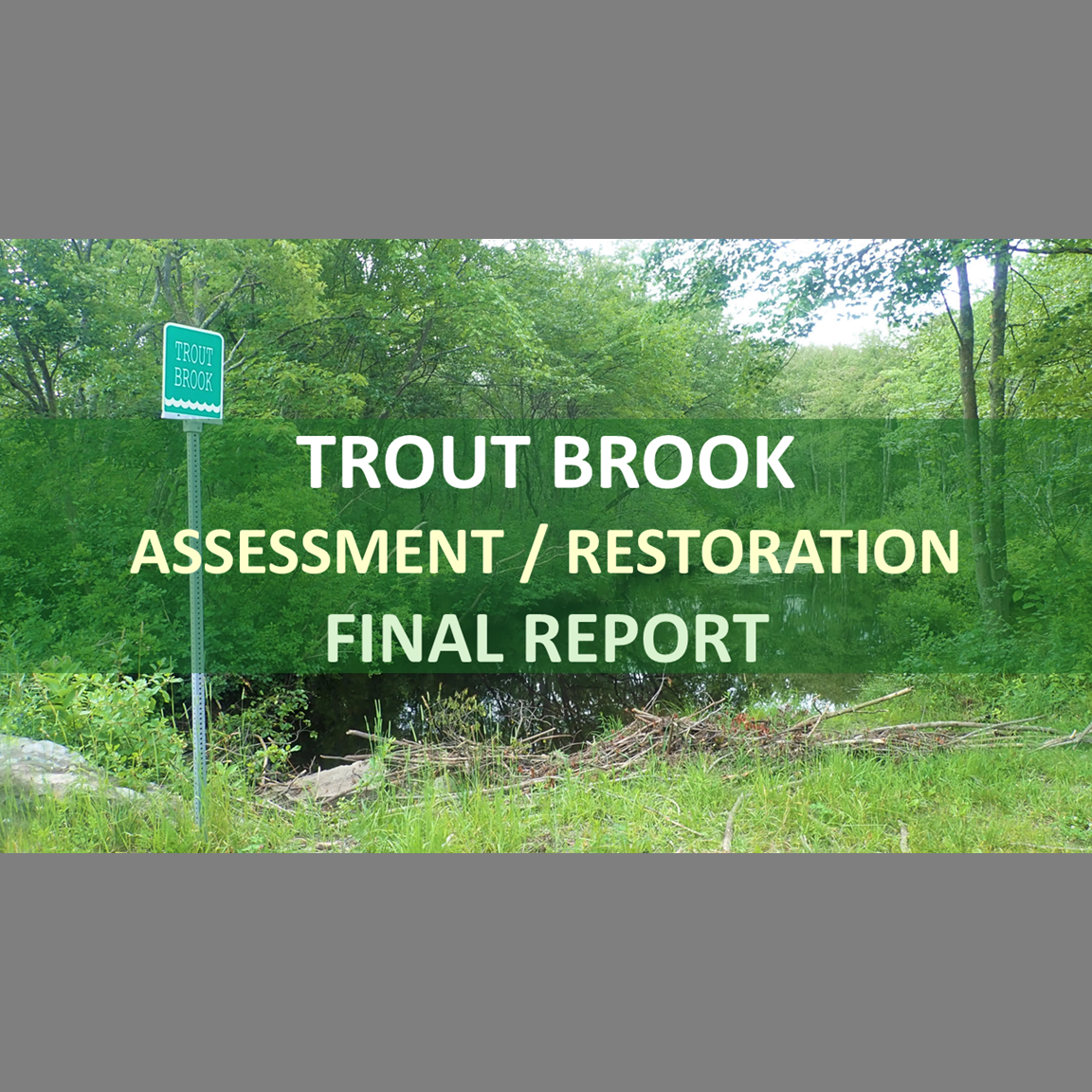 Holistic Stream Assessment/Restoration: Trout Brook - Dover, Massachusetts (Final Report)...