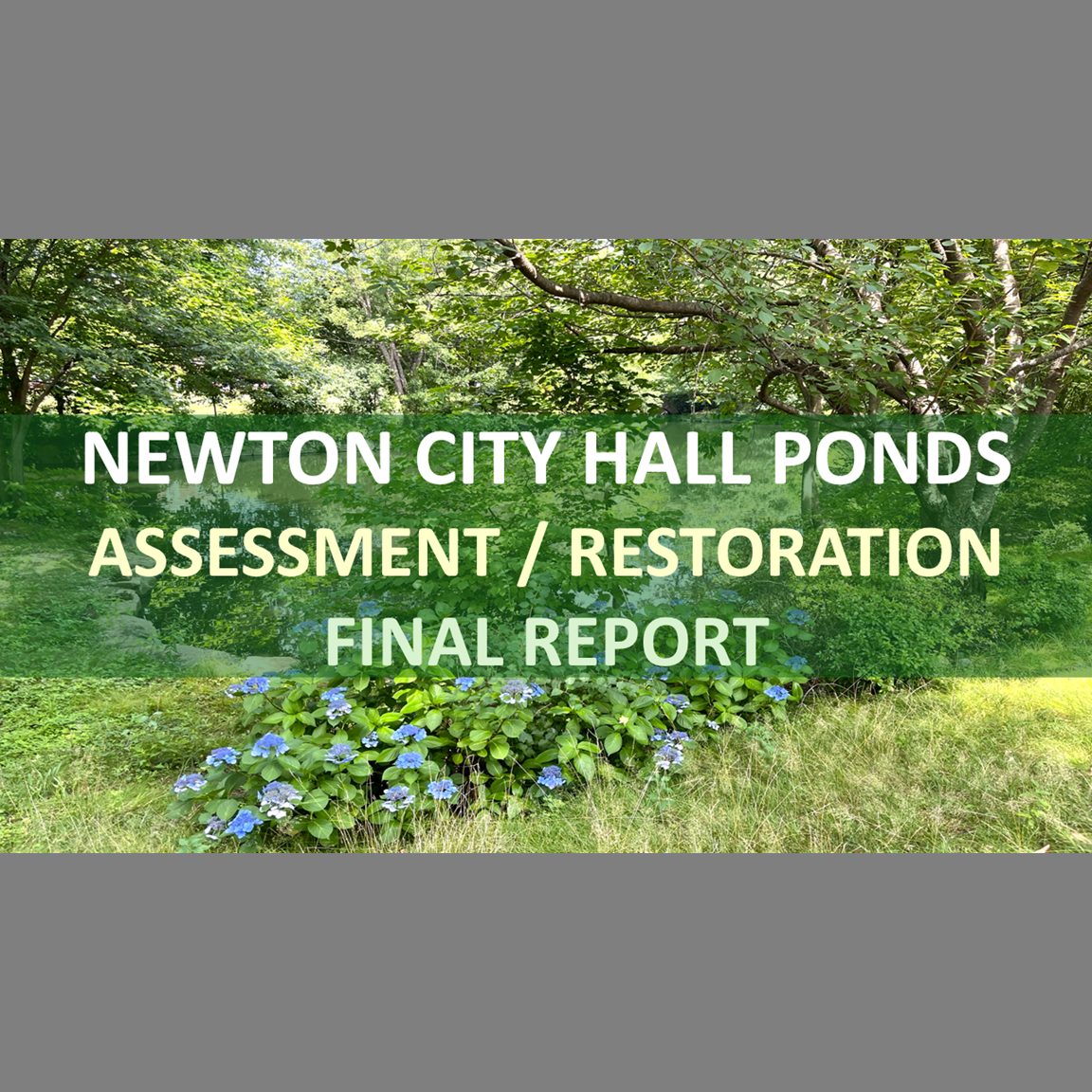 Holistic Stream Assessment/Restoration: Laundry Brook/Newton City Hall - Newton, Massachusetts (Final Report) 