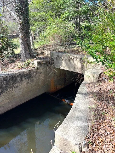 Outlet of Pond #3.jpg