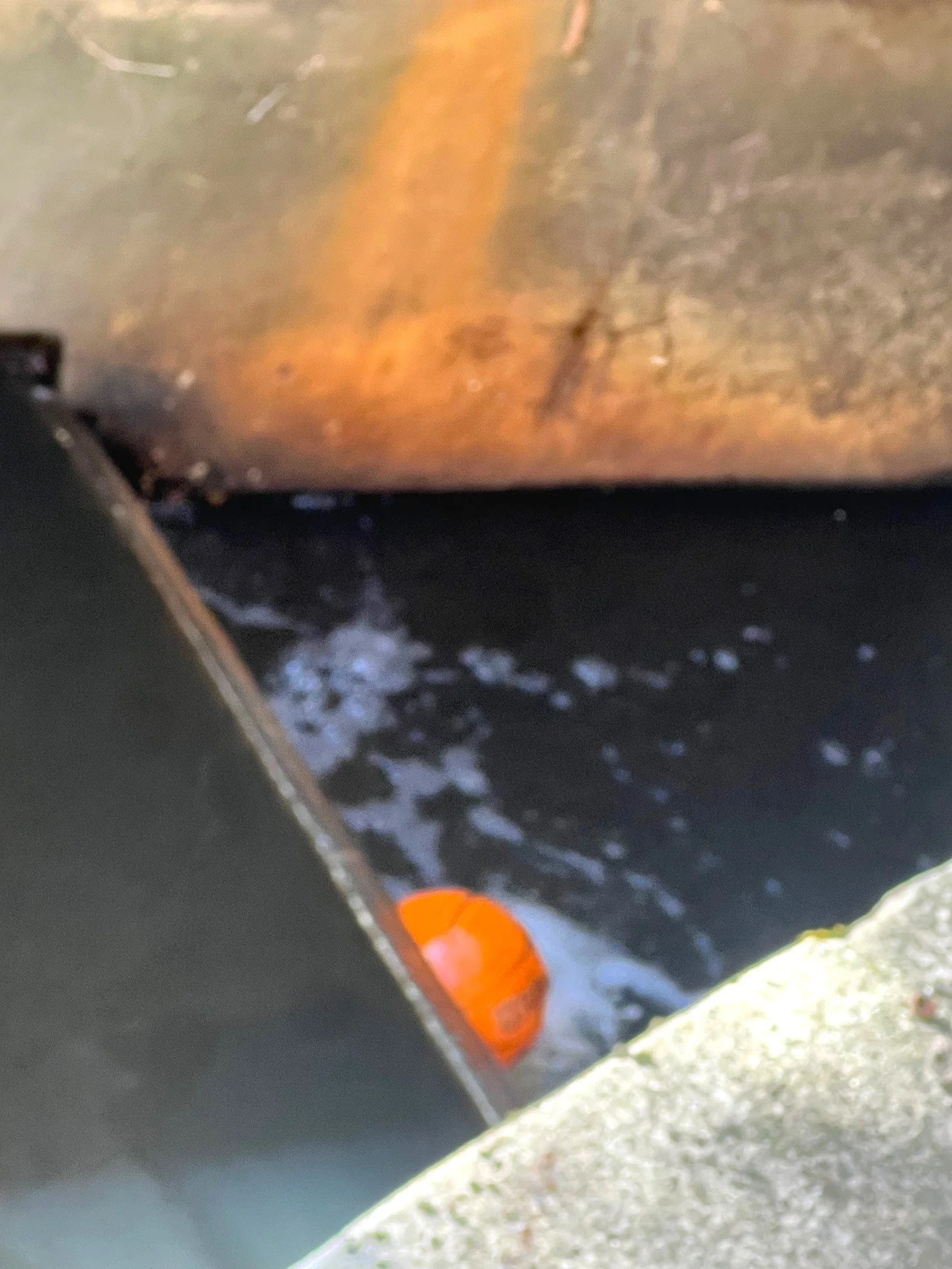 Outlet of Pond #4.jpg