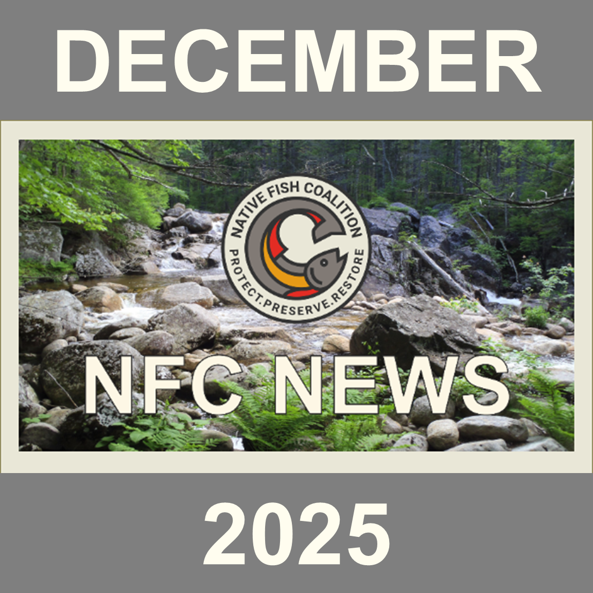 NFC December 2025 Newsletter...