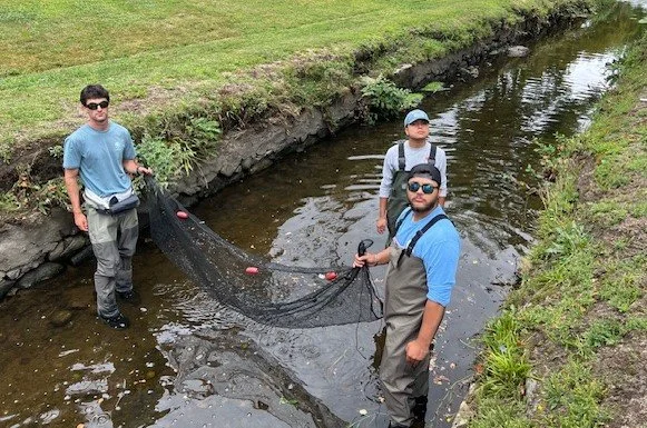IMG_9133.jpg