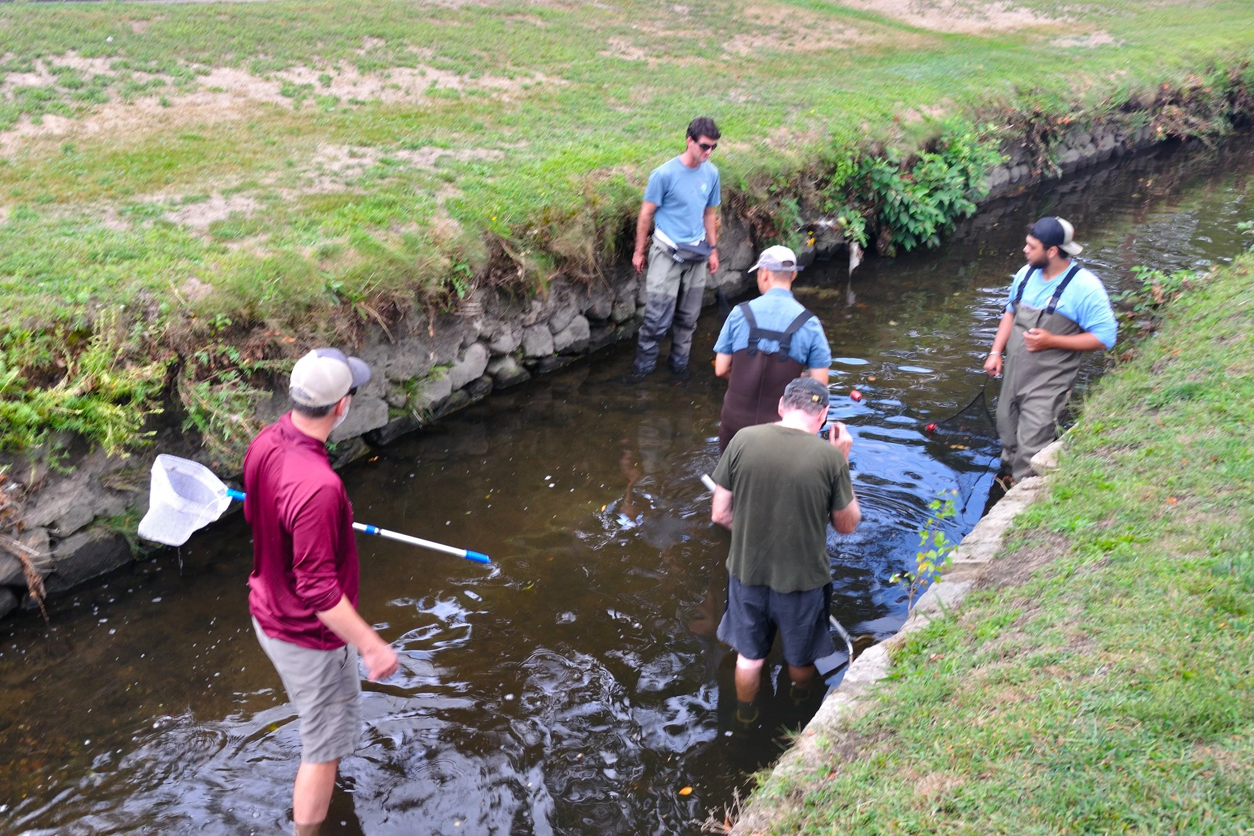 NFC MA SEPT 2025_052.JPG