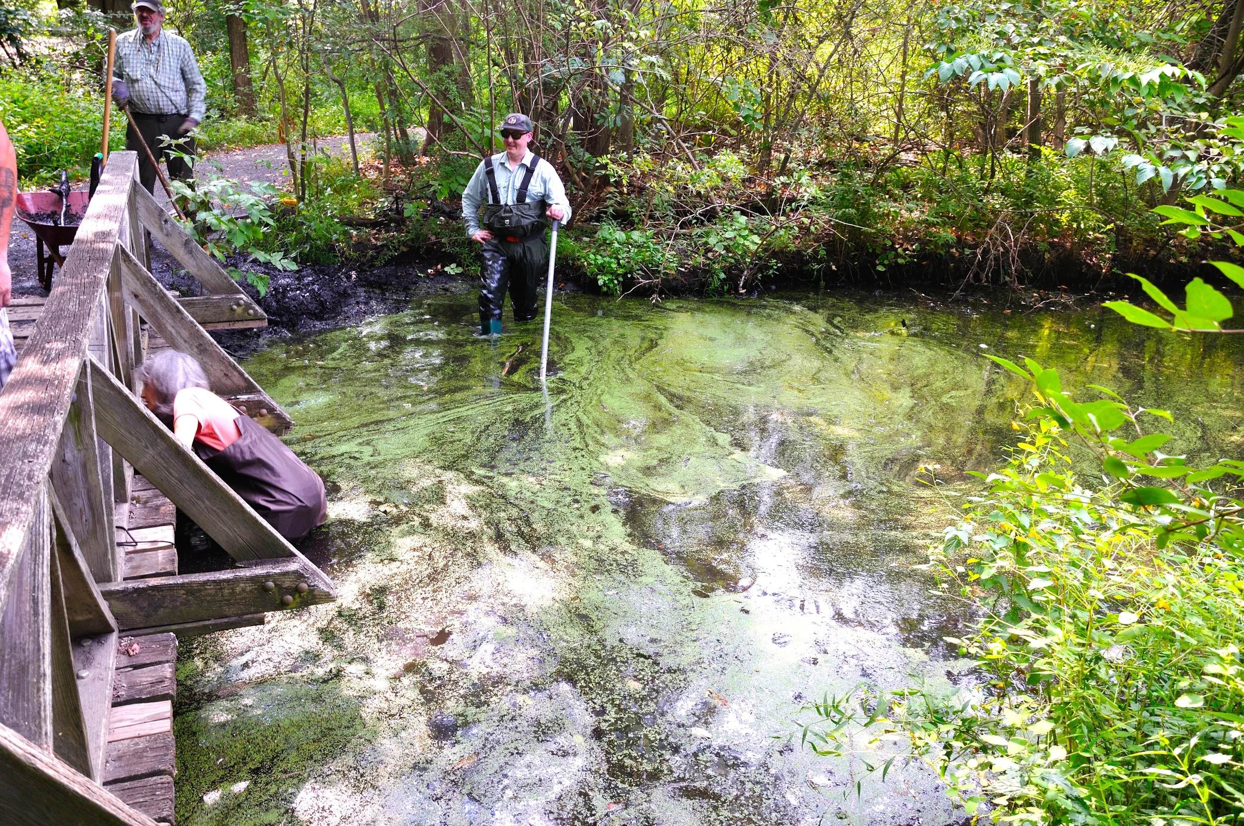 NFC MA SEPT 2025_012.JPG