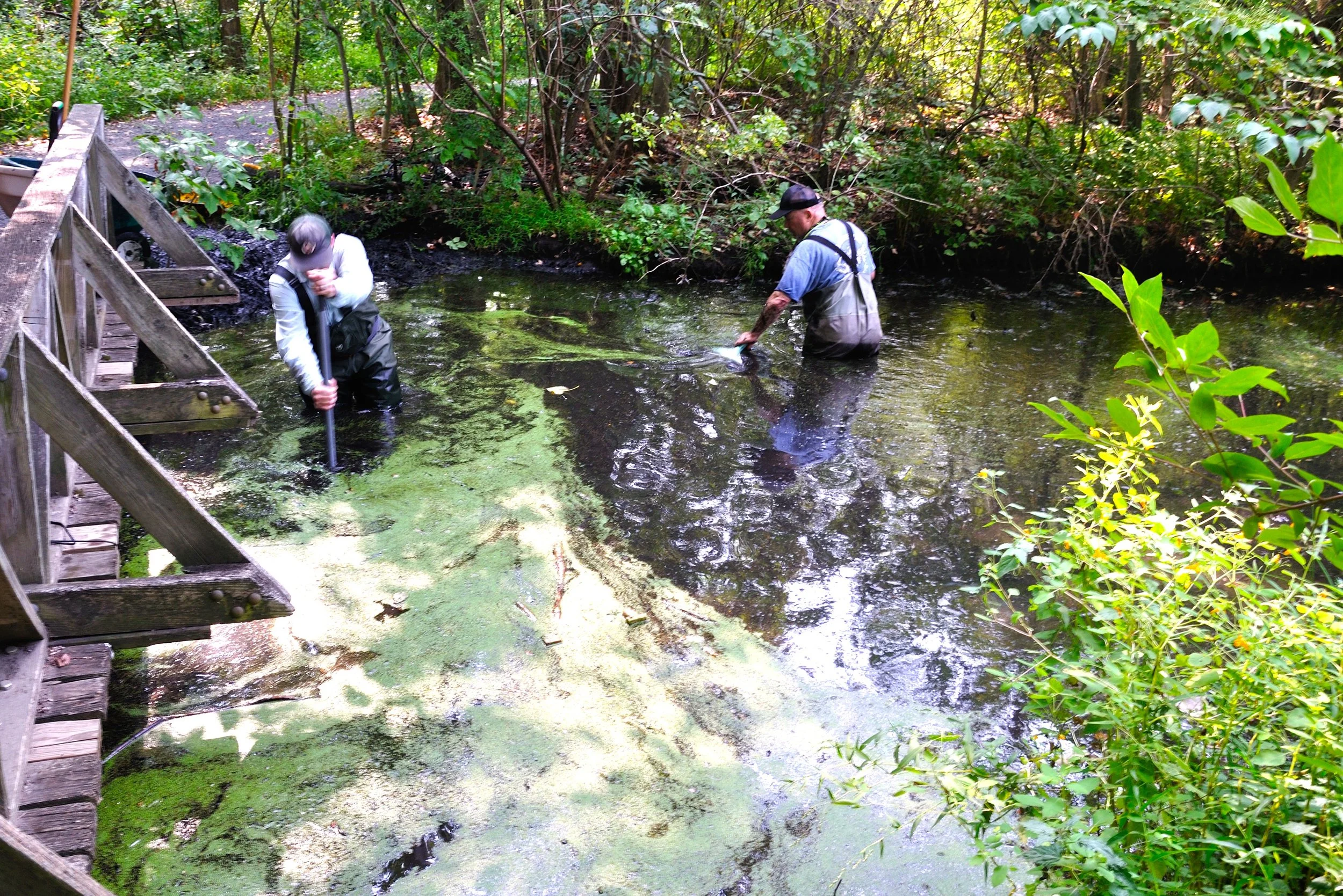 NFC MA SEPT 2025_017.JPG