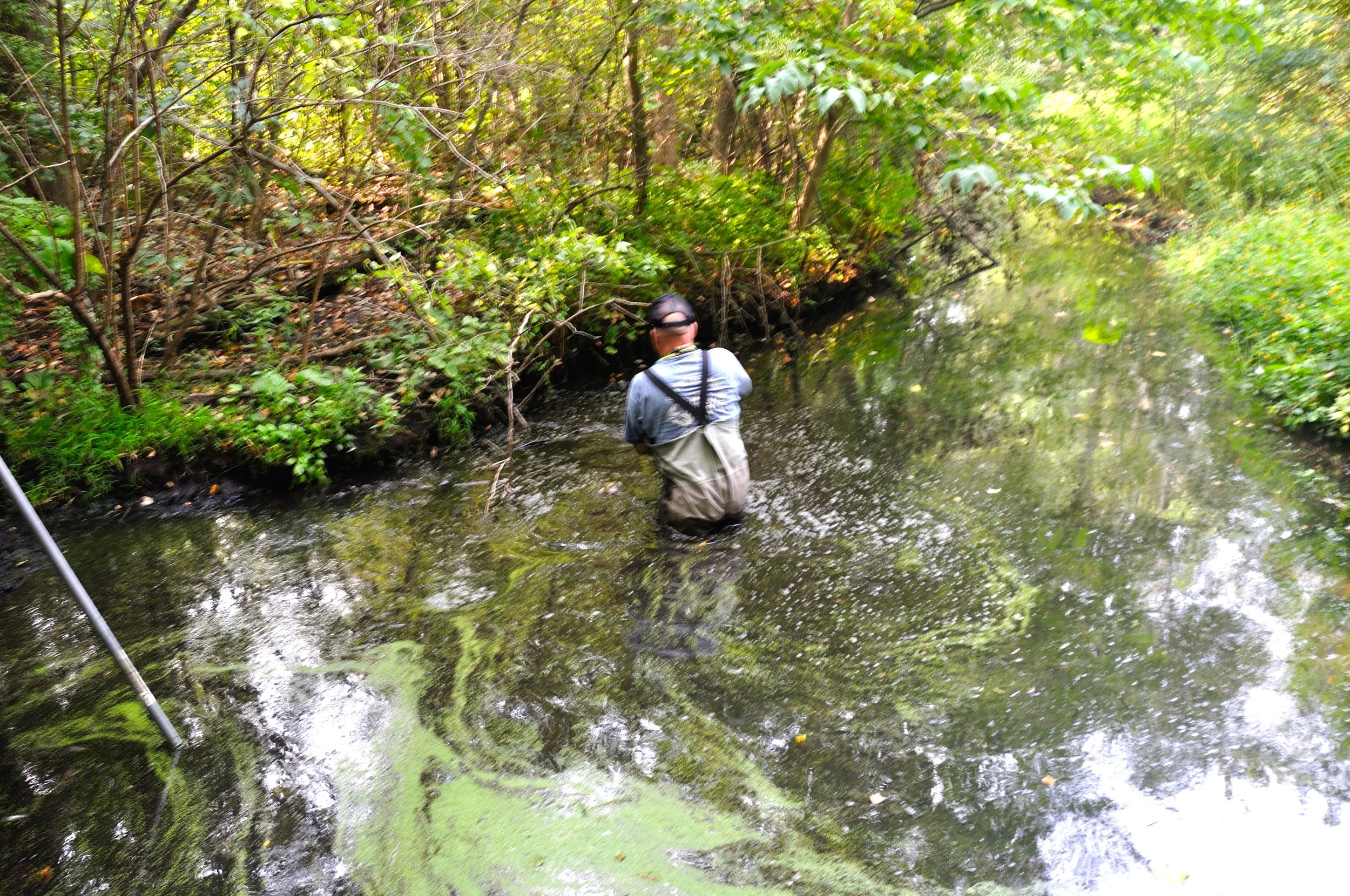 NFC MA SEPT 2025_019.JPG