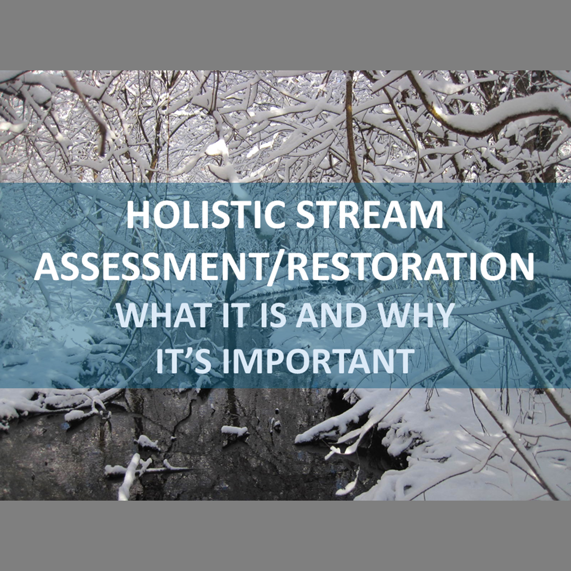Why Holistic Stream Assessment/Restoration...