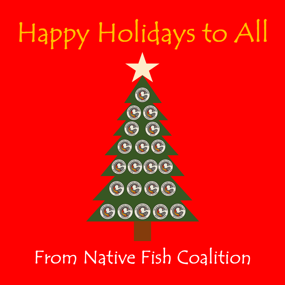 Happy Holidays to All...