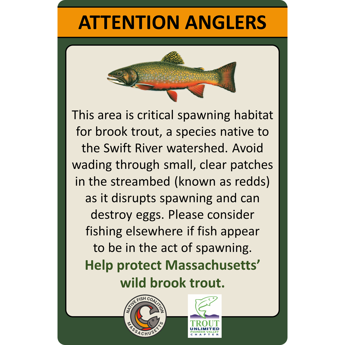 Massachusetts Swift River Brook trout Redd Sign...