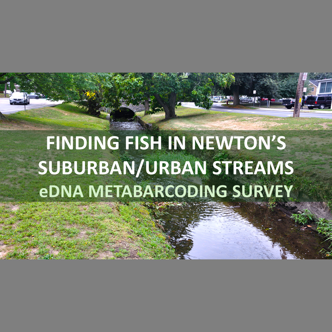MA NFC Urban Stream eDNA Metabarcoding Survey Project...