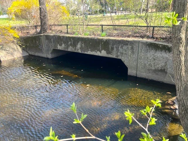 Hammond Brook at City Hall.jpeg