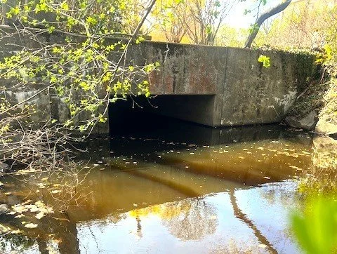 CSB at City Hall 2.jpg