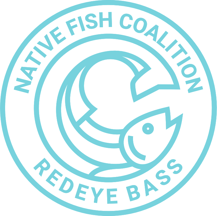 RB Custom and Clear PNG.png