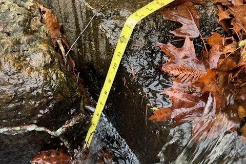 Pond 3-2 Outlet at Footbridge 2.jpeg