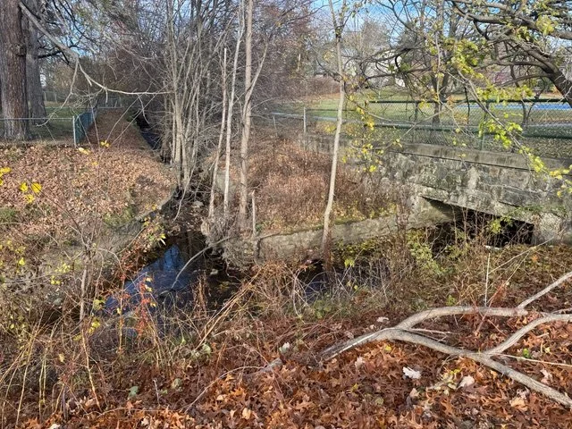 Confluence of Hammond and Edmands (Enoch Huang).jpeg