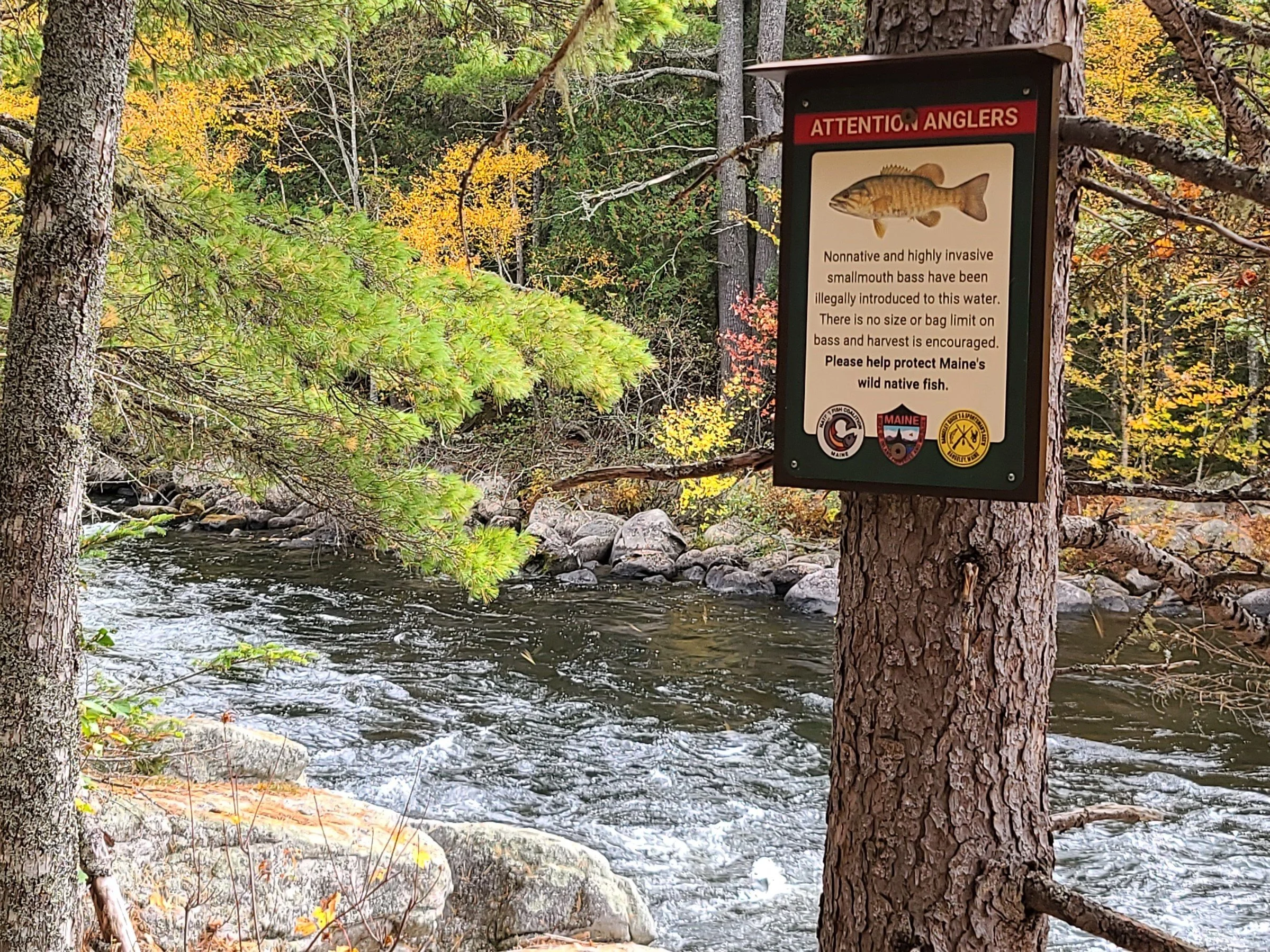 Informational Signs - Posting — Native Fish Coalition