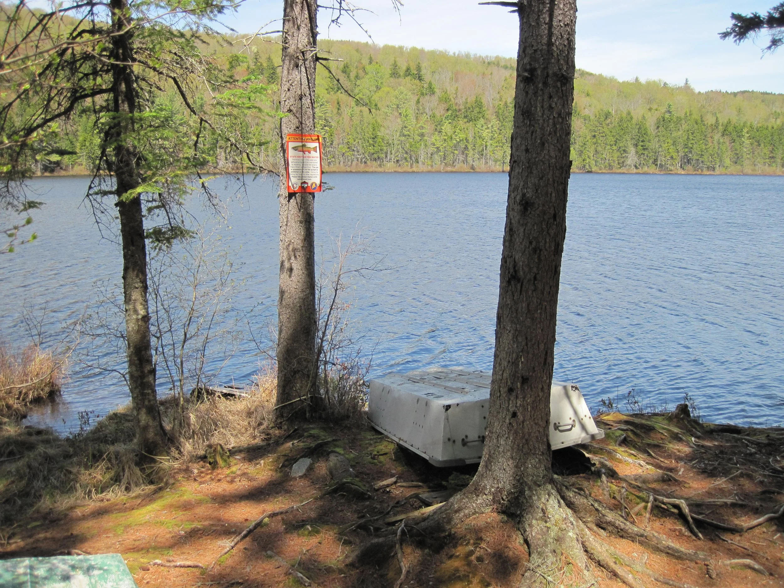 Ten Thousand Acre Pond.JPG