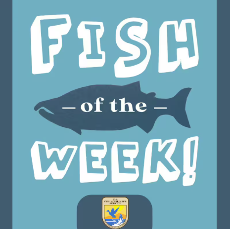 Ohio NFC Board Member Cody Cromer Guests on USFWS Podcast...