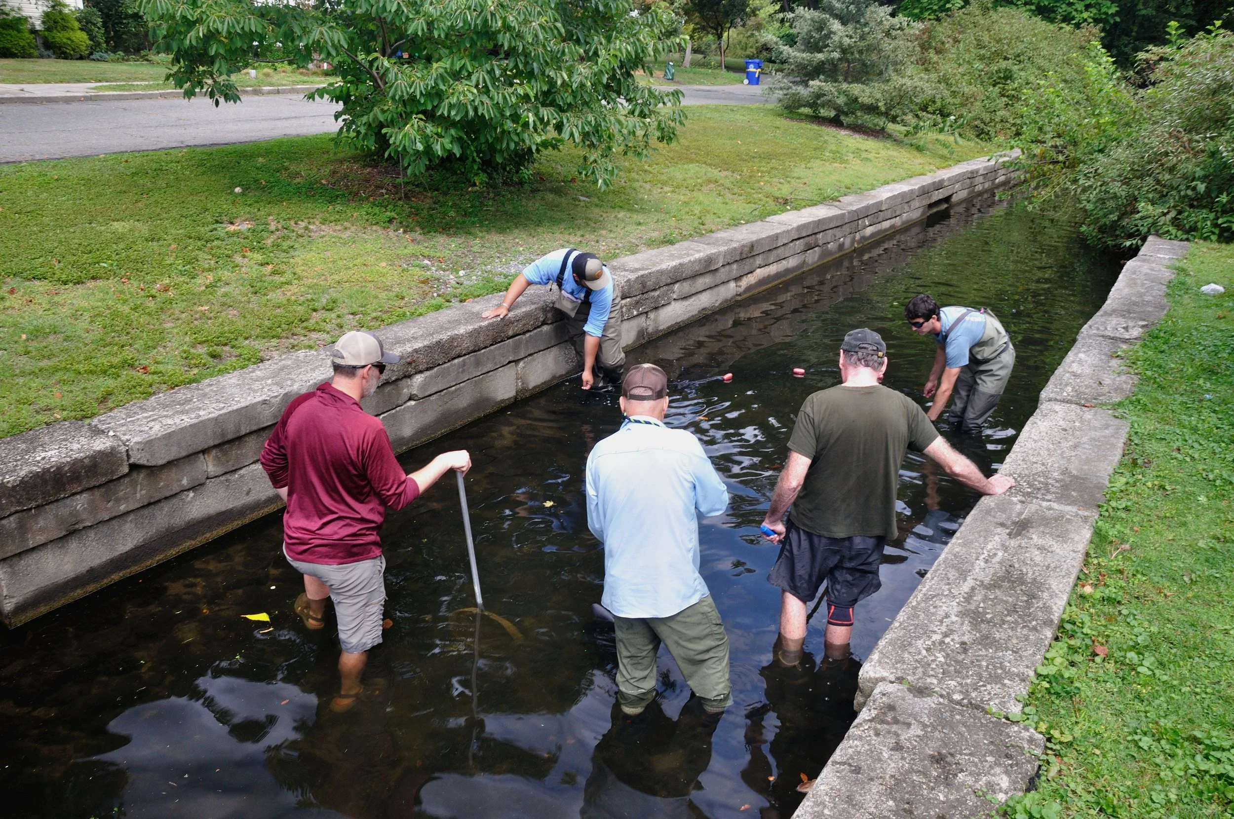 NFC MA SEPT 2025_039.JPG