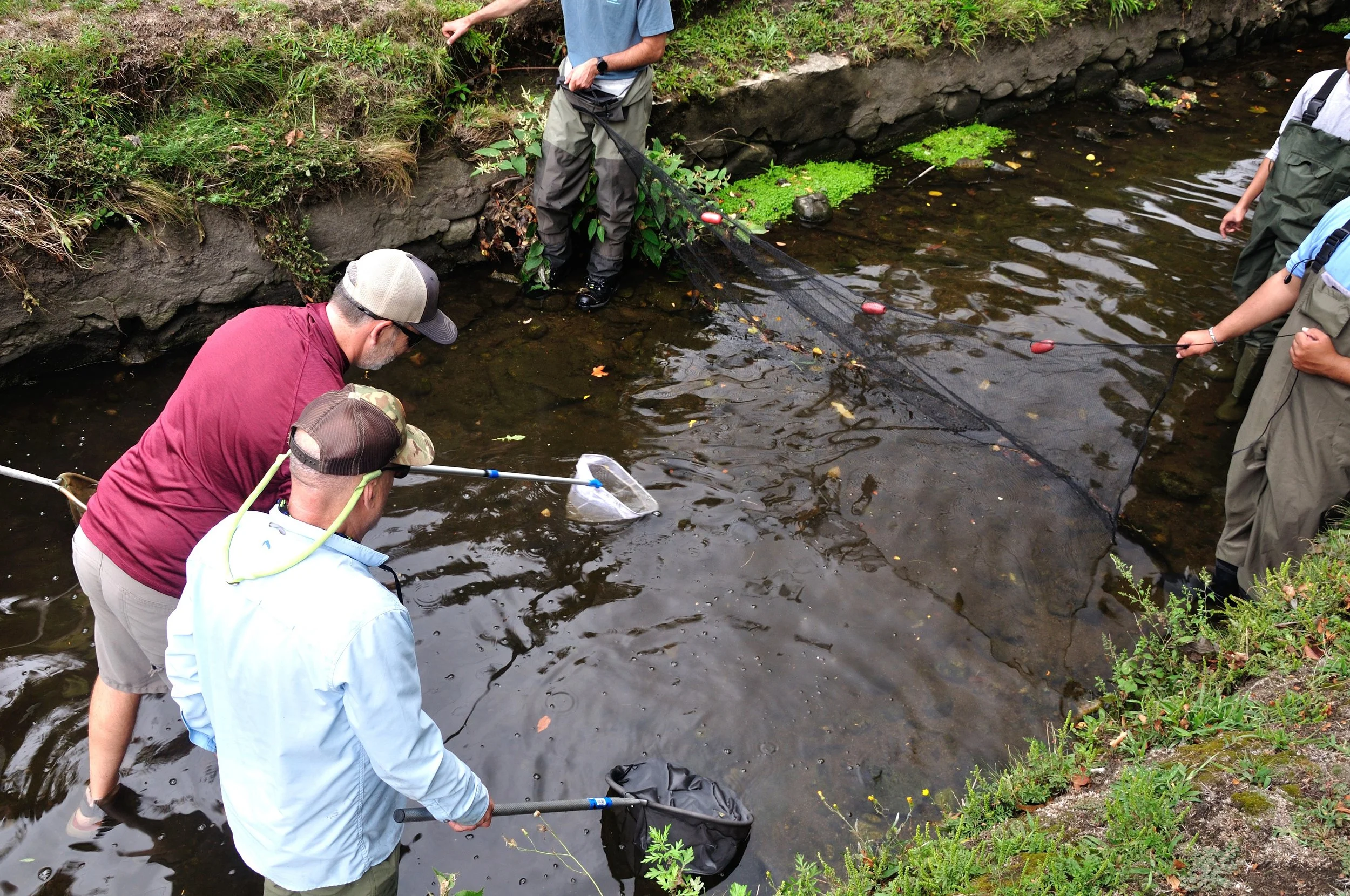 NFC MA SEPT 2025_055.JPG