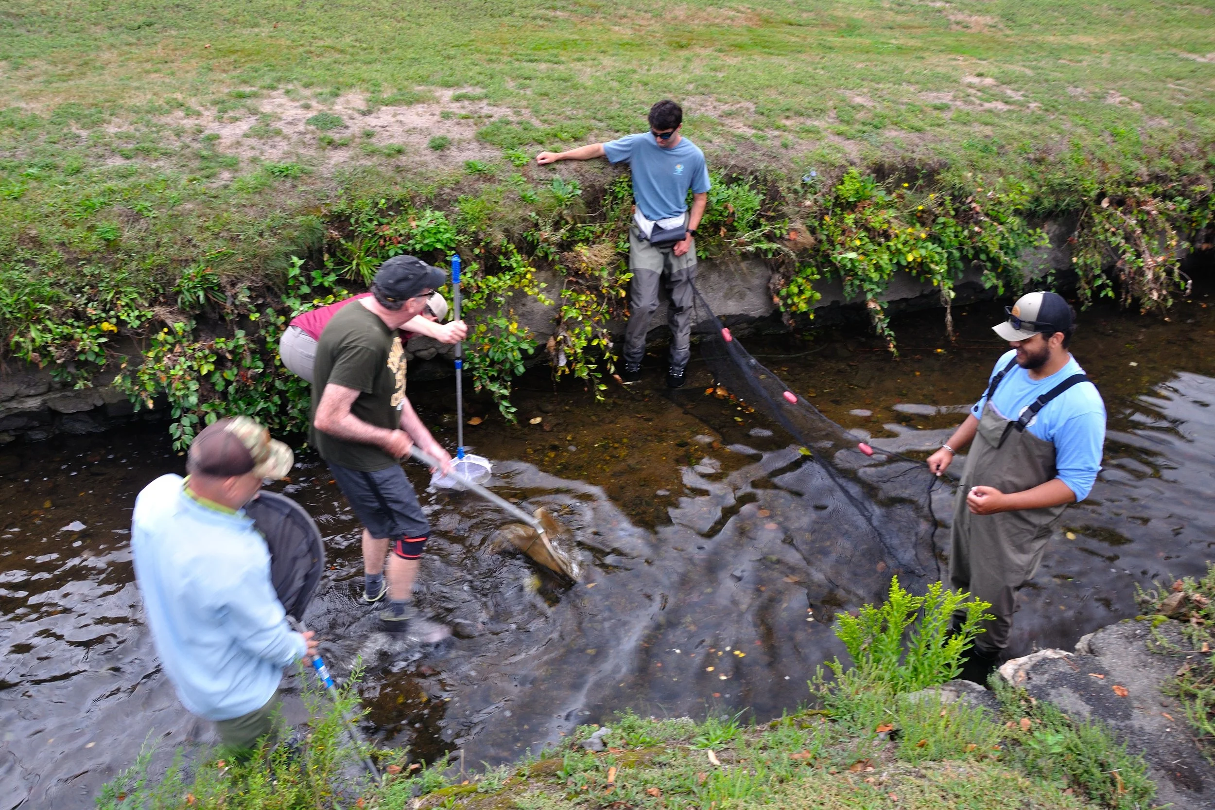 NFC MA SEPT 2025_058.JPG