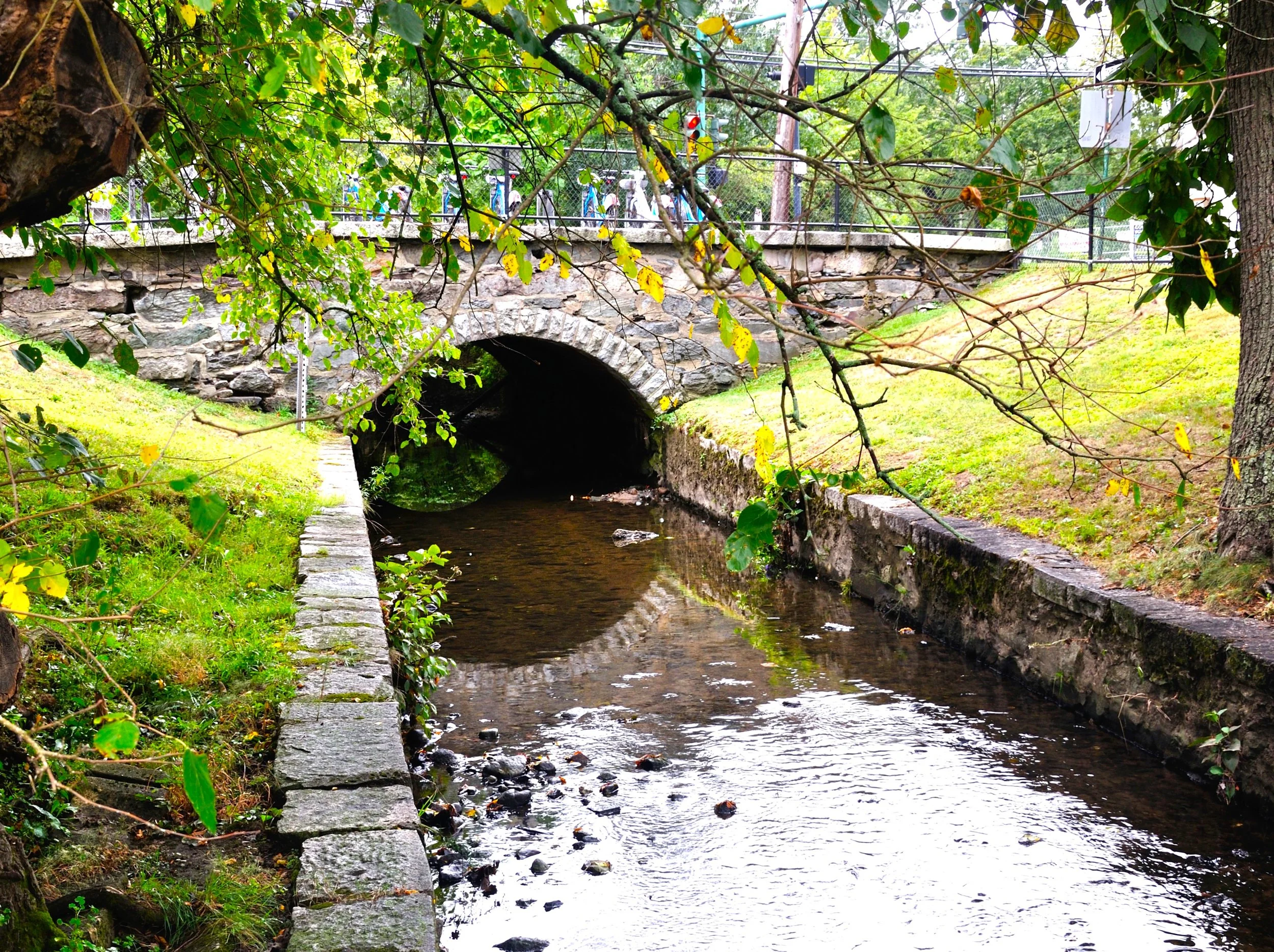 NFC MA SEPT 2025_069 2.JPG