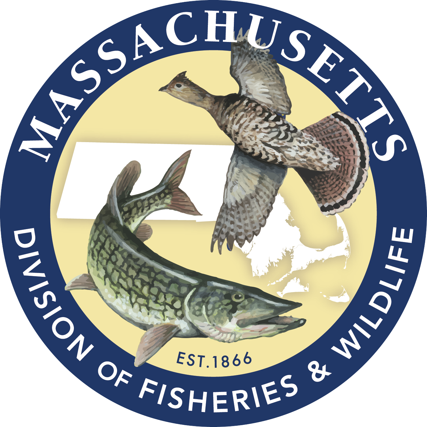 MassWildlife_web_logo_230-removebg-preview.png
