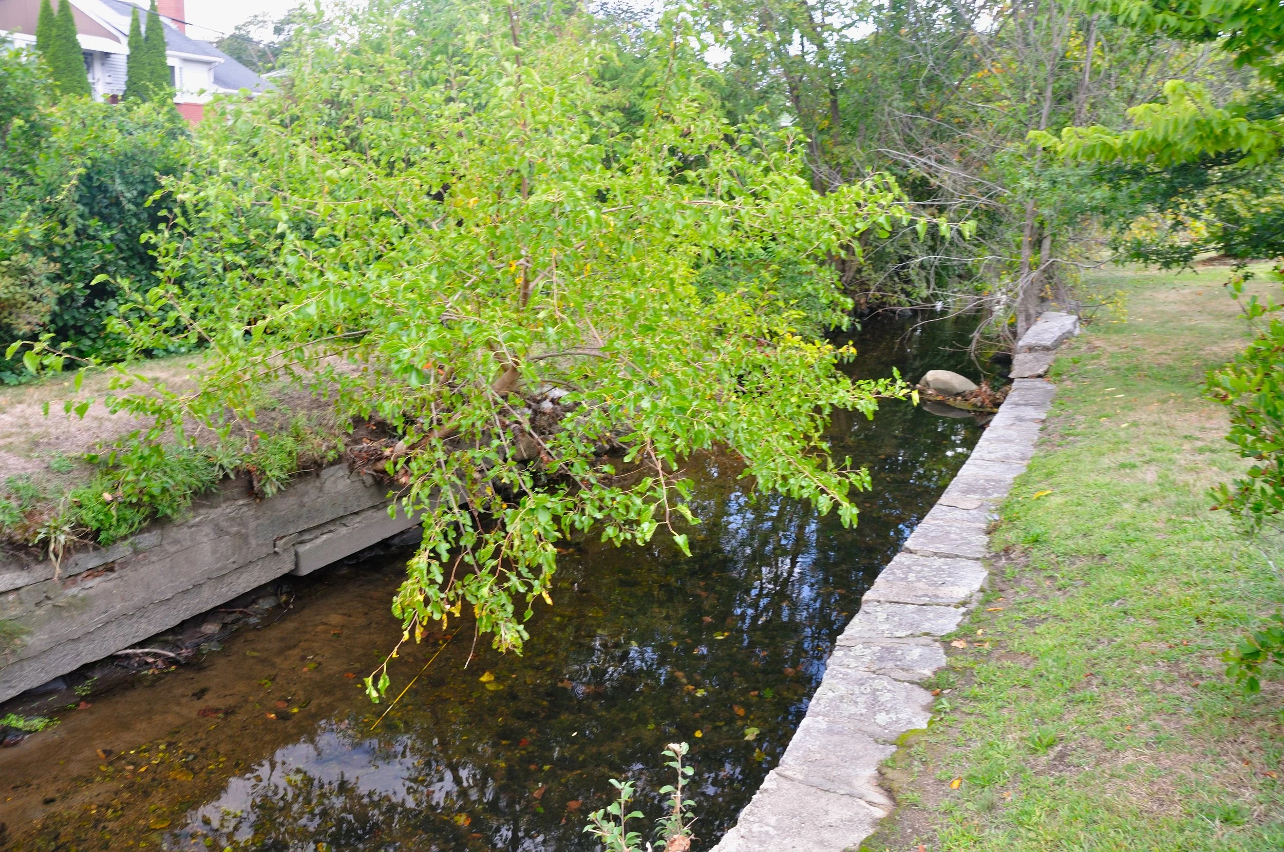 NFC MA SEPT 2025_037.JPG