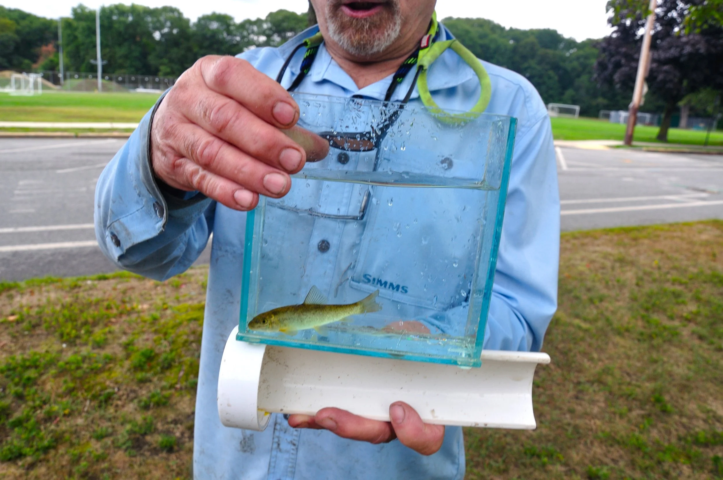 NFC MA SEPT 2025_050.JPG