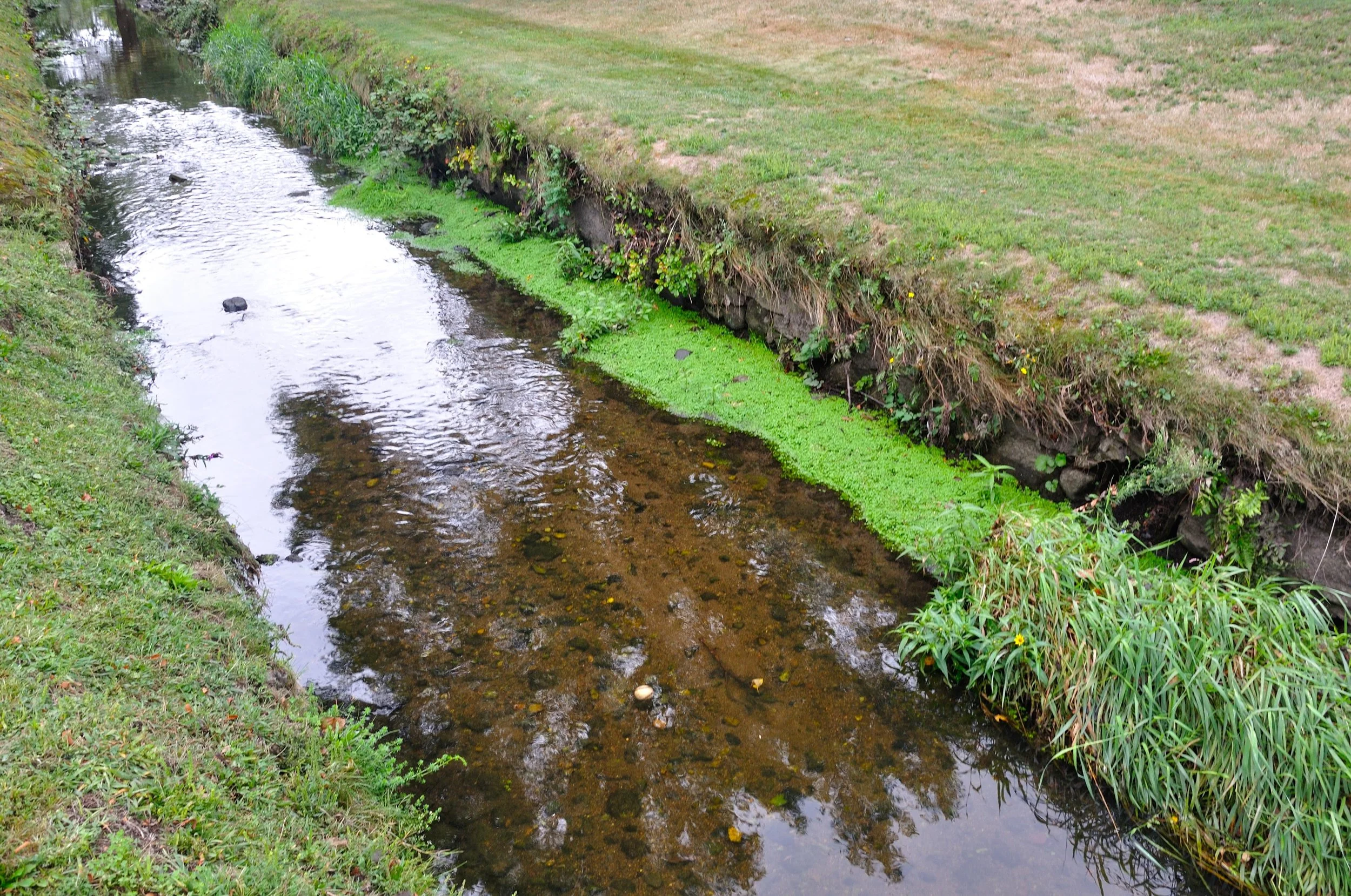 NFC MA SEPT 2025_065 2.JPG