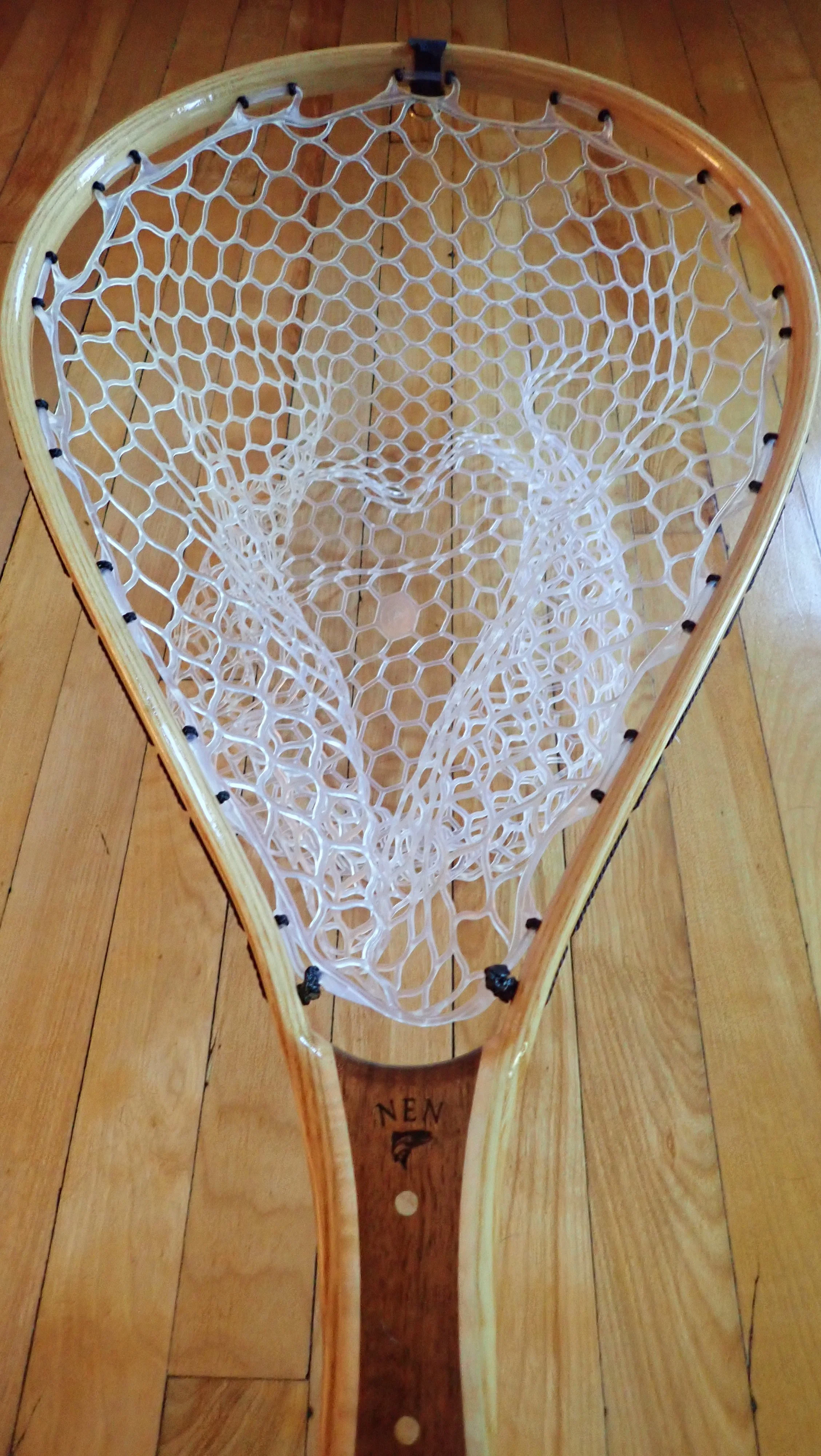 Black walnet NEN (5).JPG