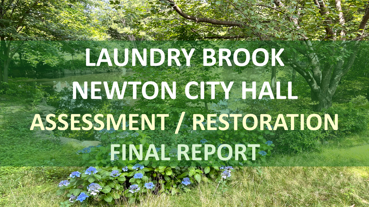 Final Report - City Hall (Final).png