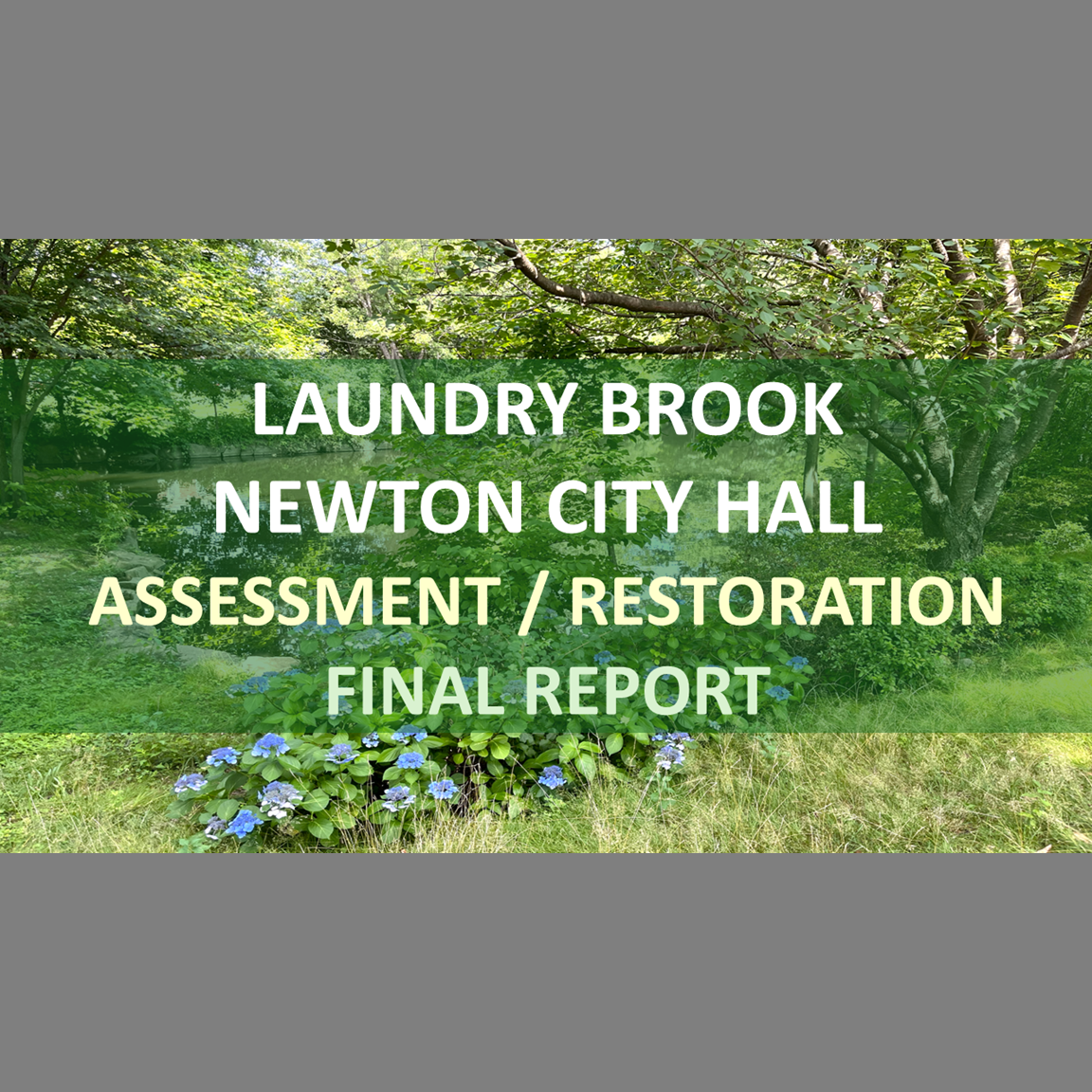 Holistic Stream Assessment/Restoration: Laundry Brook/Newton City Hall - Newton, Massachusetts (Final Report) 