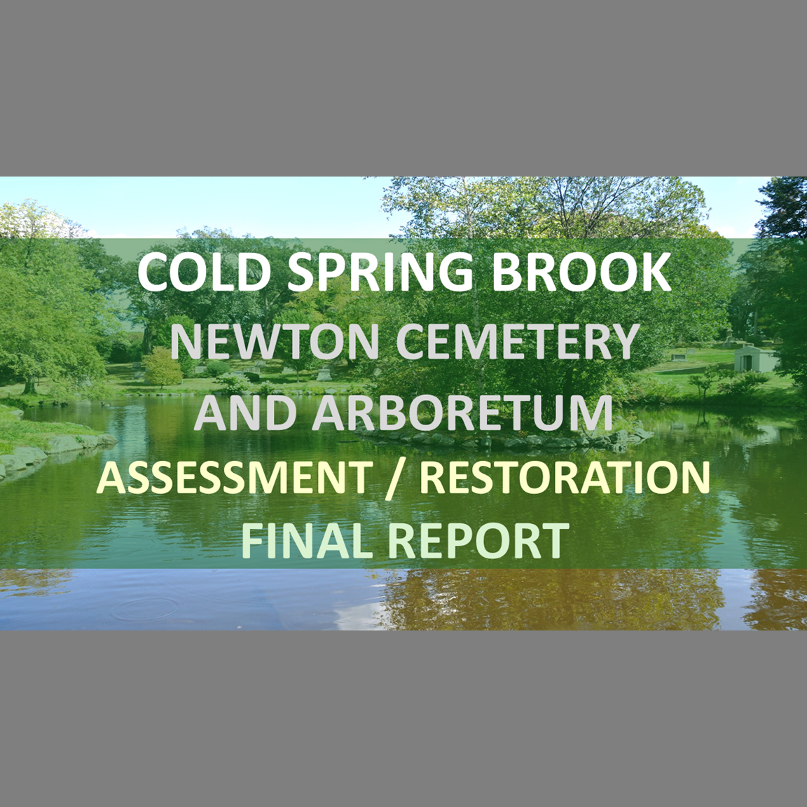 Holistic Stream Assessment/Restoration: Cold Spring Brook/Newton Cemetery and Arboretum - Newton, Massachusetts (Final Report)