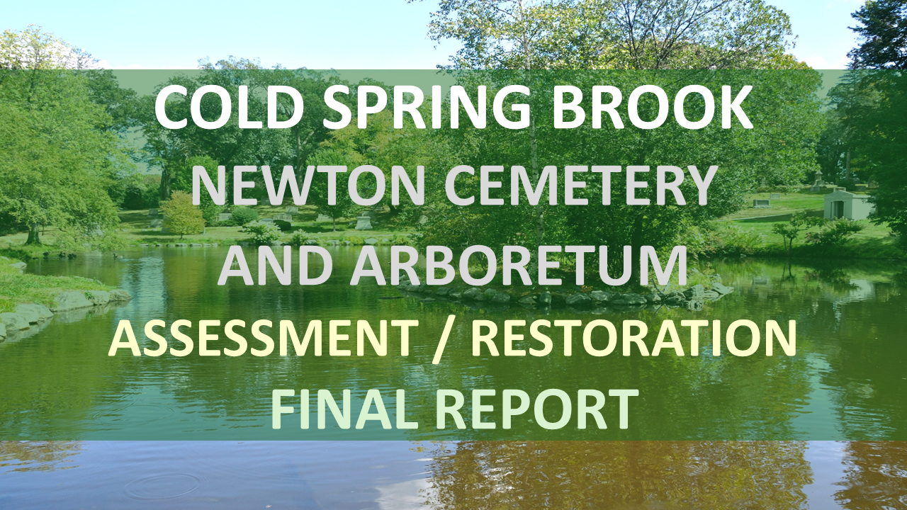 CSB Final Report - Cemetery (Final).png