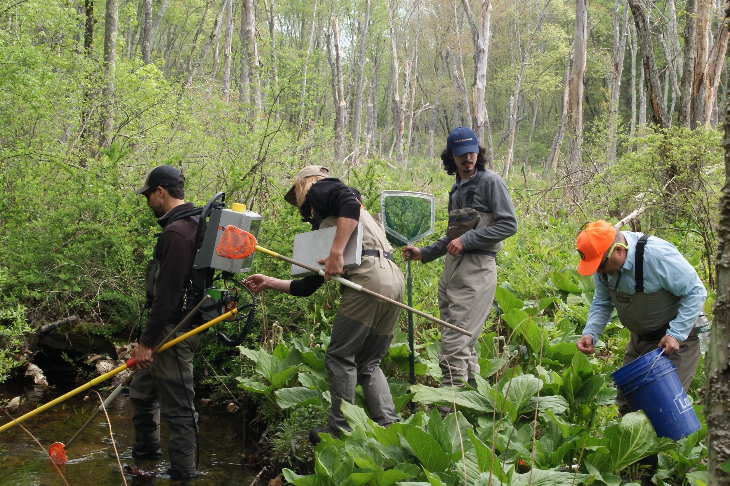 DSC05915 - Copy - Copy.JPG