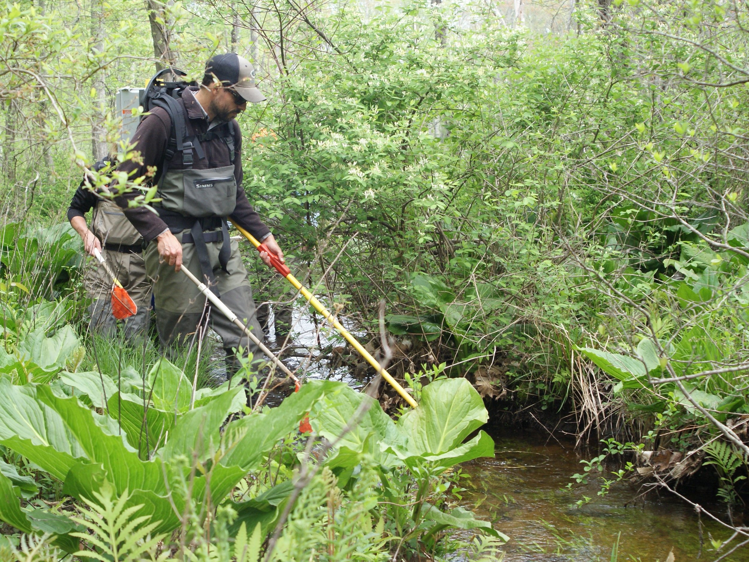 DSC05917 2 - Copy - Copy.jpg