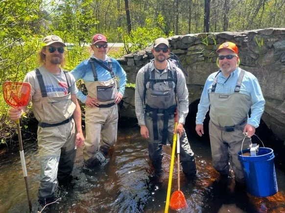 image1 (1) - Copy - Copy.jpeg