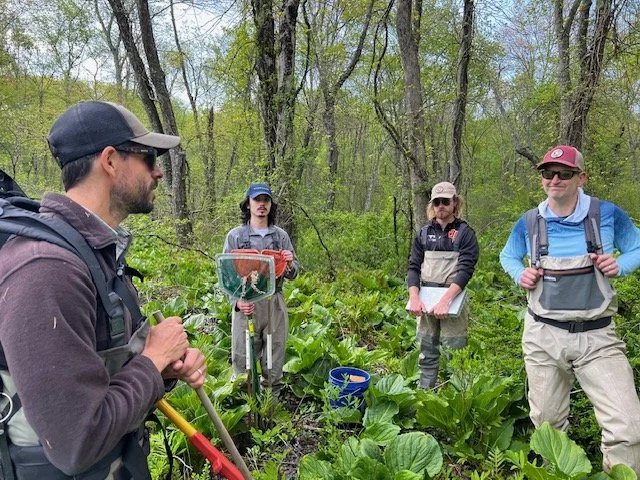 image1 (2) - Copy - Copy.jpeg