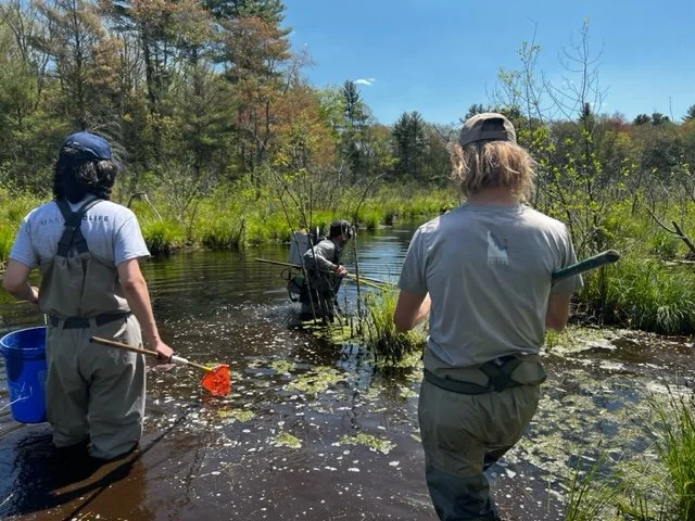 image2 (2) - Copy.jpeg