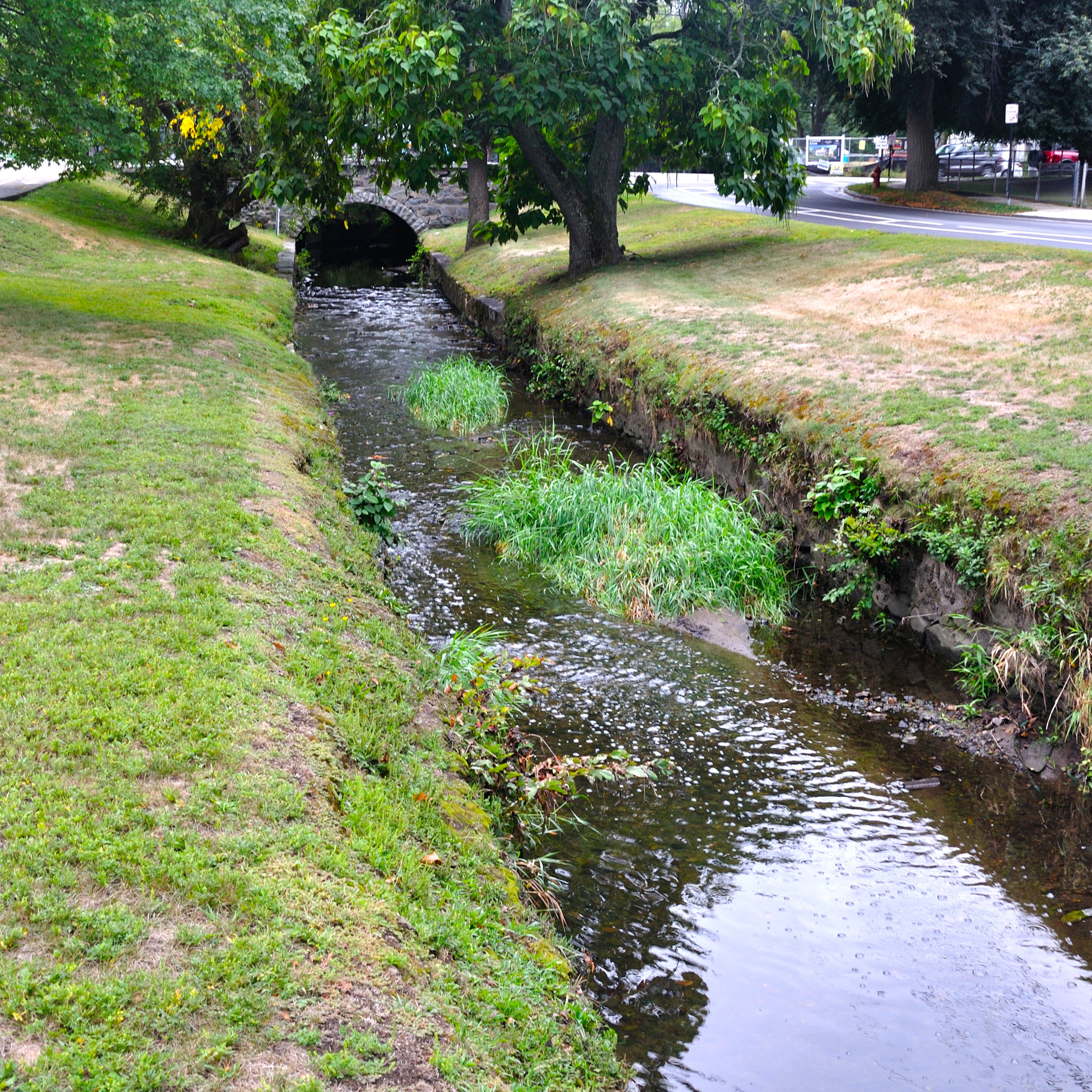Holistic Stream Assessment/Restoration: Cheescake Brook - Newton, Massachusetts