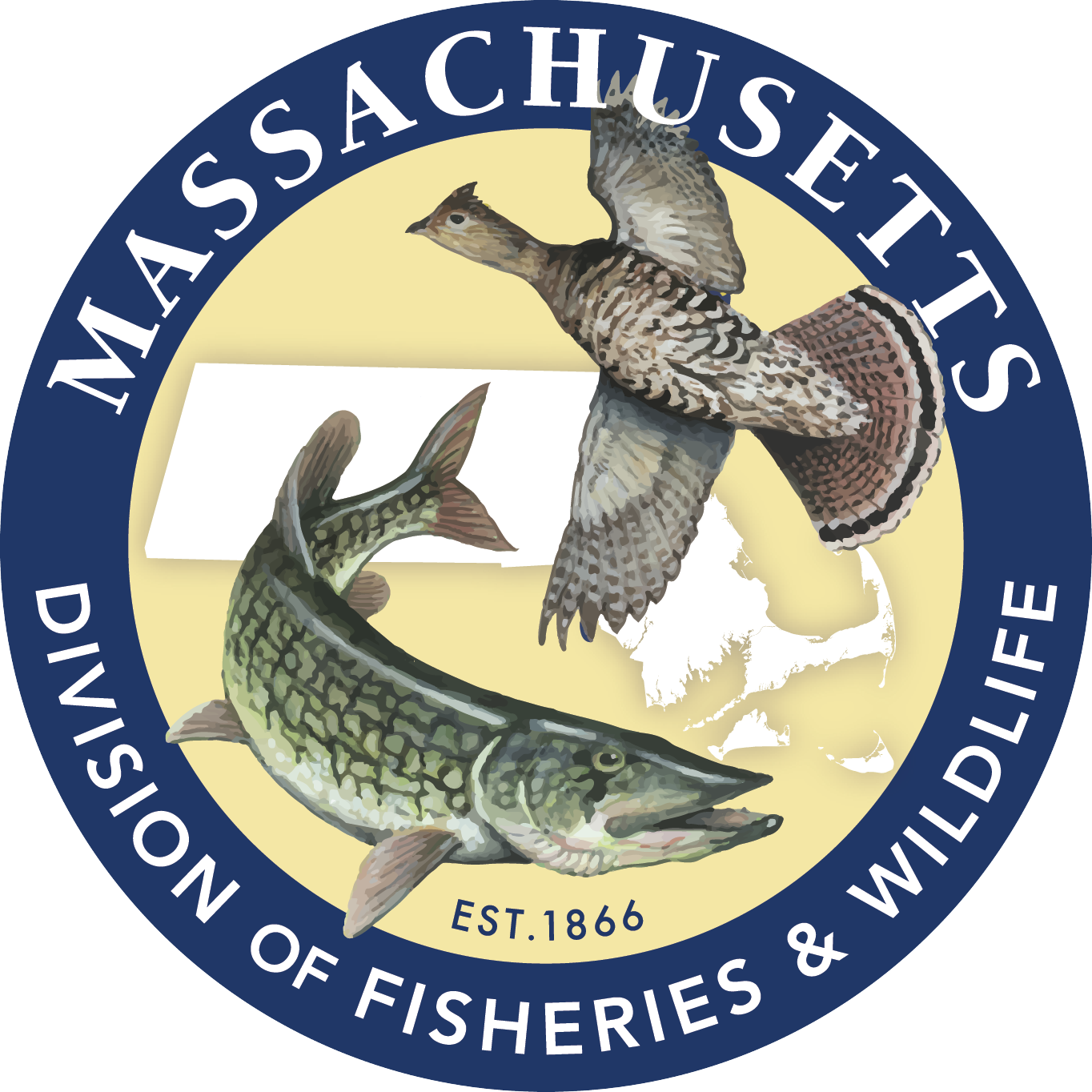 MassWildlife_web_logo_230-removebg-preview.png
