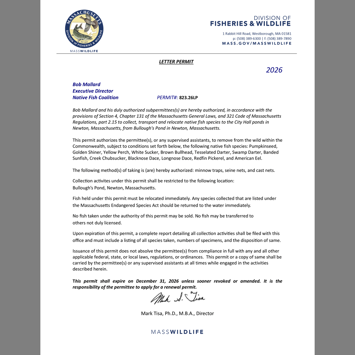 MA NFC to Restore Wild Native Fish in Laundry Brook in Newton, Massachusetts...