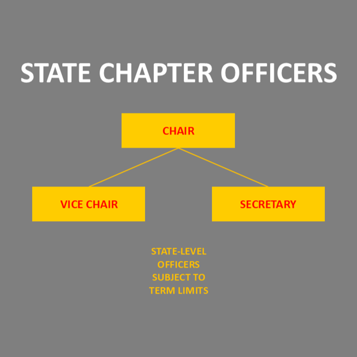 Chapter Officer Roles and Responsibilities