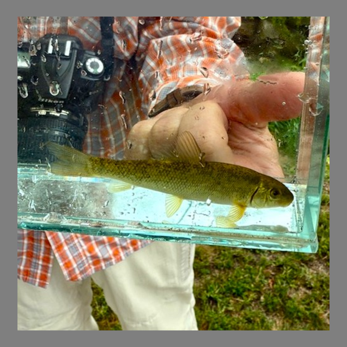 Scientific Collection Permit