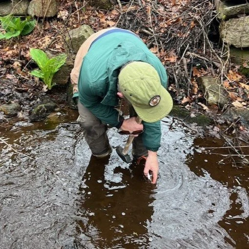 Dutemple Brook Gets Temp Loggers...