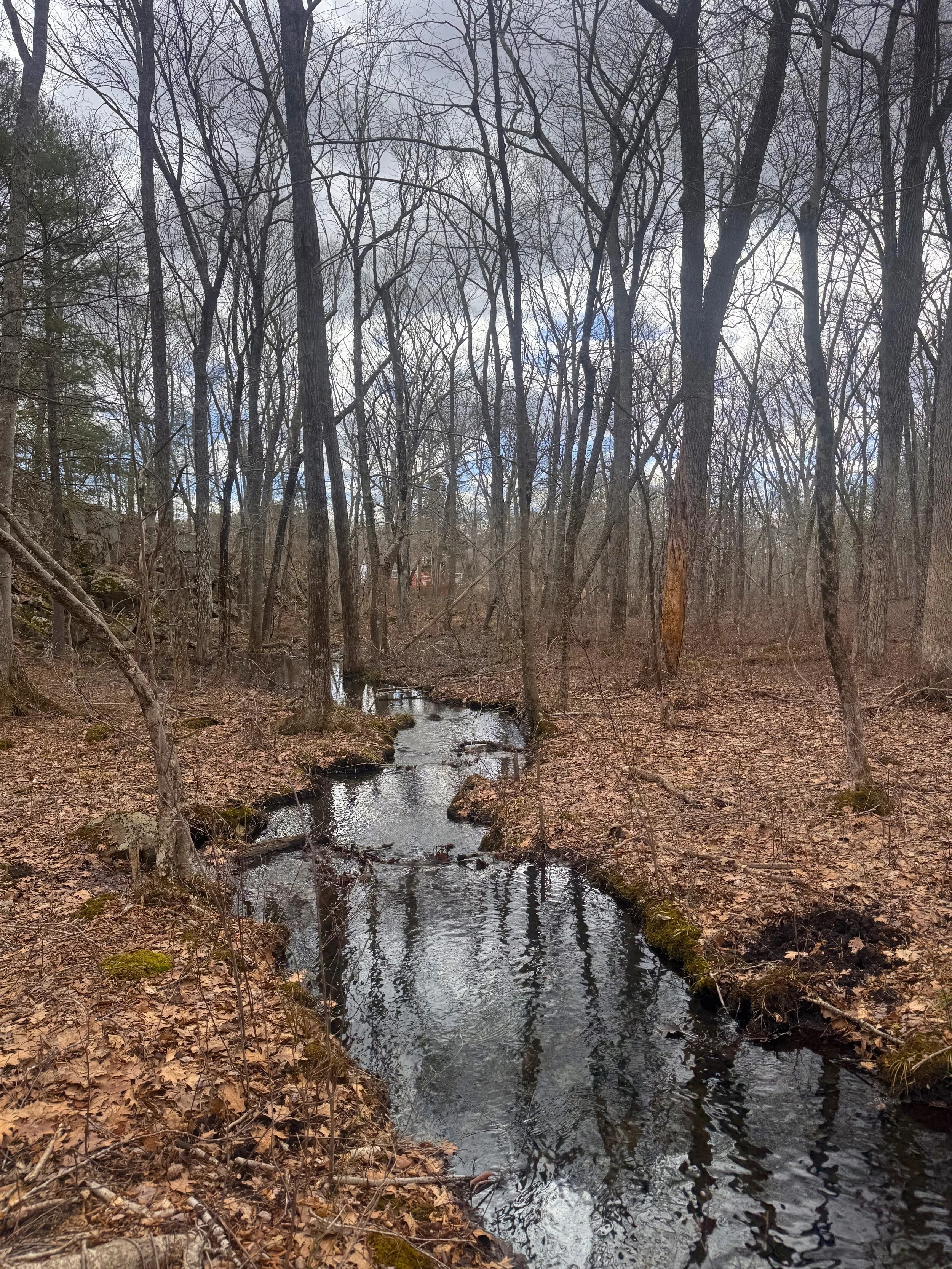 Cragan Property Headwaters(1).jpeg